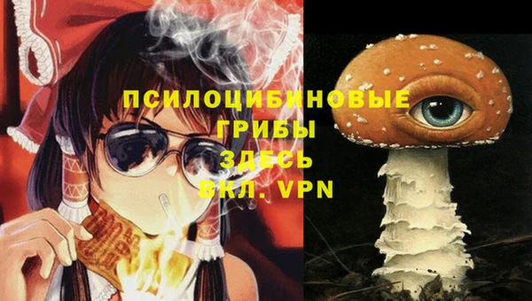 каннабис Аркадак