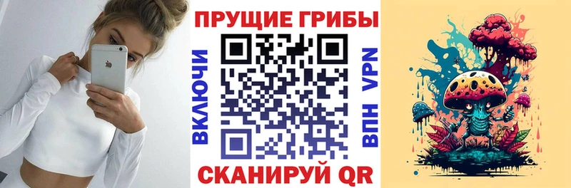 Псилоцибиновые грибы Psilocybe  наркошоп  Ярцево 